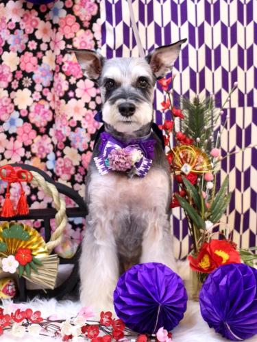 20250111銀次くん